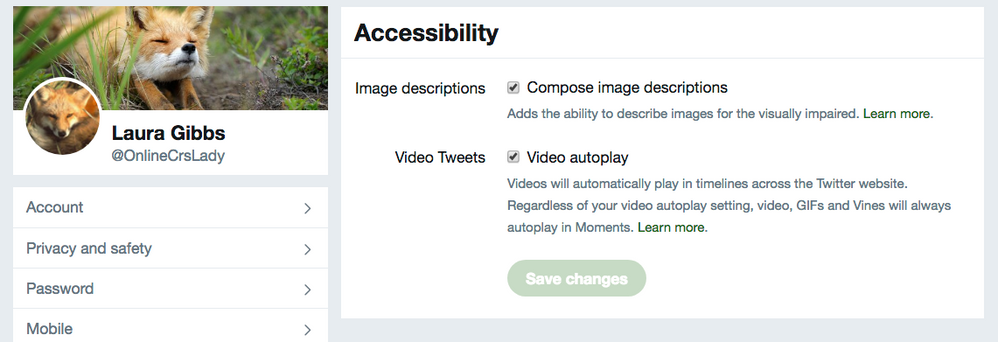 Twitter accessibility settings_ turn on image descriptions