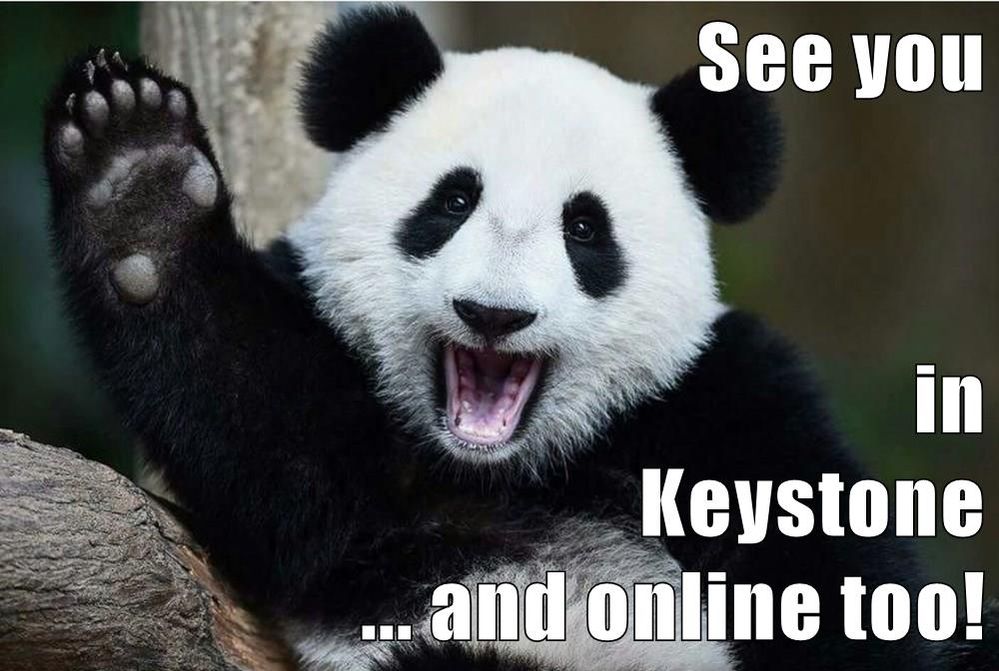 Panda waves_ see you in Keystone and online too