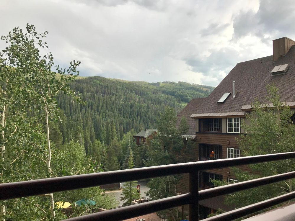 282497_pastedImage_3.jpg 282497_pastedImage_3.jpg