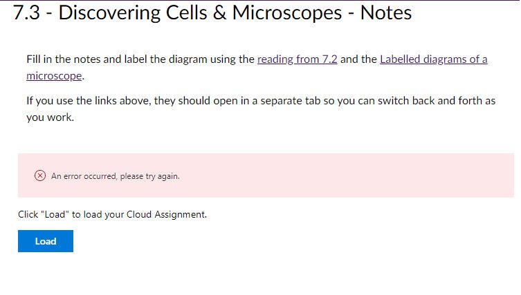 Error assignment.jpg