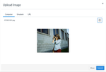 erinhallmark_37-1604355652023.png