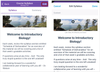 erinhallmark_0-1613683797293.png