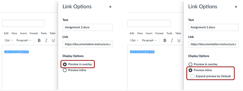 Link file preview display options