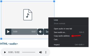 CanvasAudio_CopyAddress.JPG CanvasAudio_CopyAddress.JPG