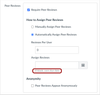 Peer Review options