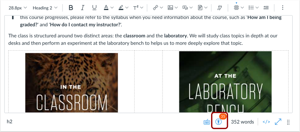 Rich Content Editor Accessibility Checker Indicator