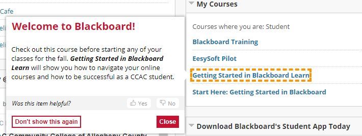 CCAC-hintmessageforBbstudentorientationcourse-Fall2020.jpg CCAC-hintmessageforBbstudentorientationcourse-Fall2020.jpg