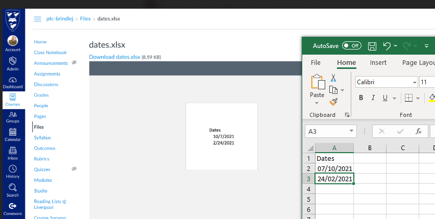 Screenshot comparing Excel to Canvas's date formats