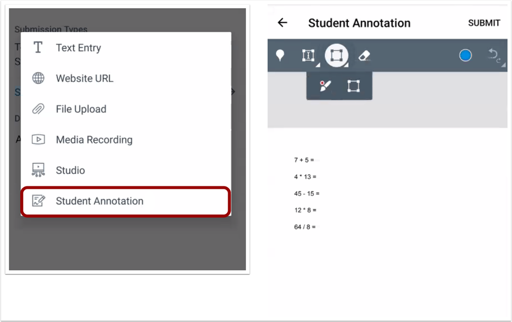Student Annotation Assignment Type