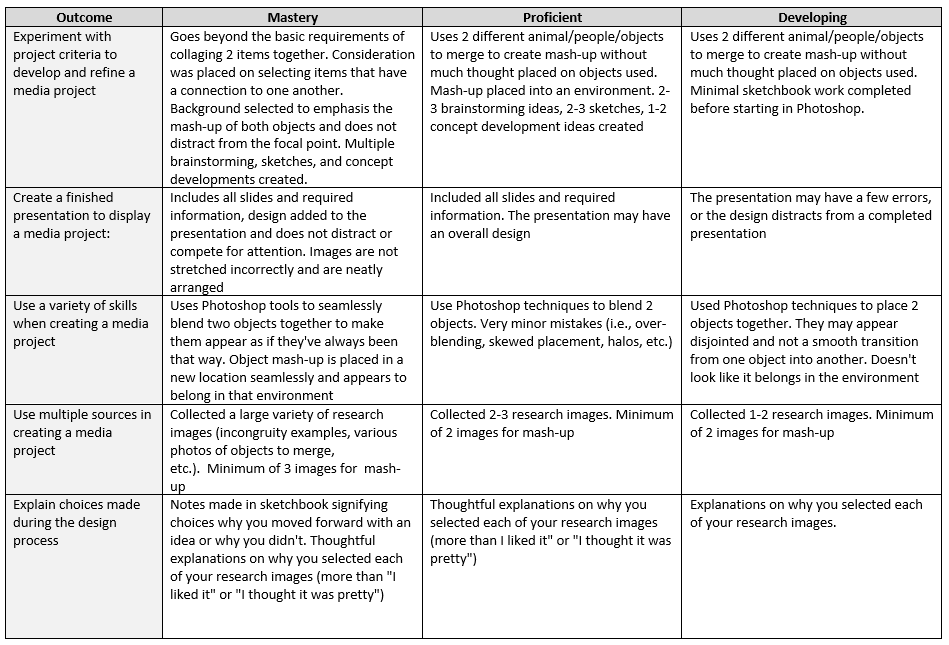 Rubric with explanation of outcome and ratings.