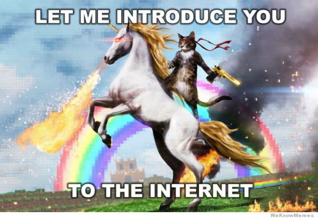 let-me-introduce-you-to-the-internet-meme.jpg