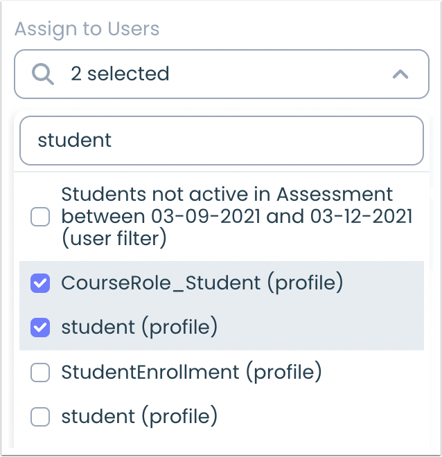 Custom Access Assigned Users