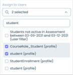 Custom Access Assigned Users
