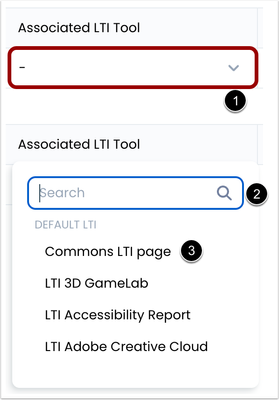 Associated LTI Tool dropdown