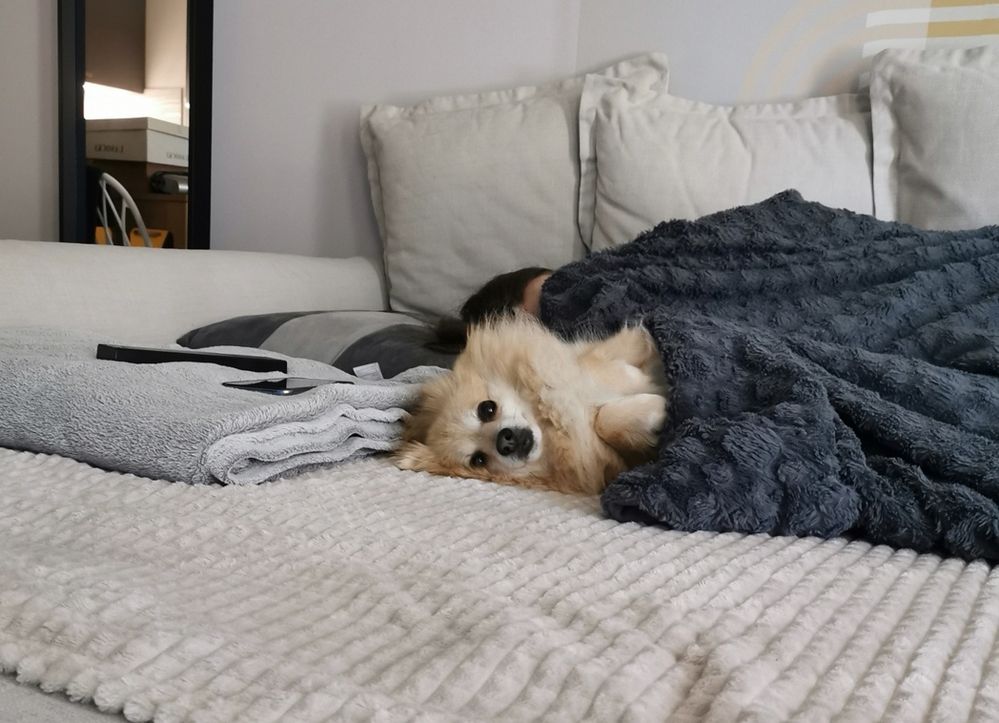 Screenshot_20220811_091431.jpg Screenshot_20220811_091431.jpg