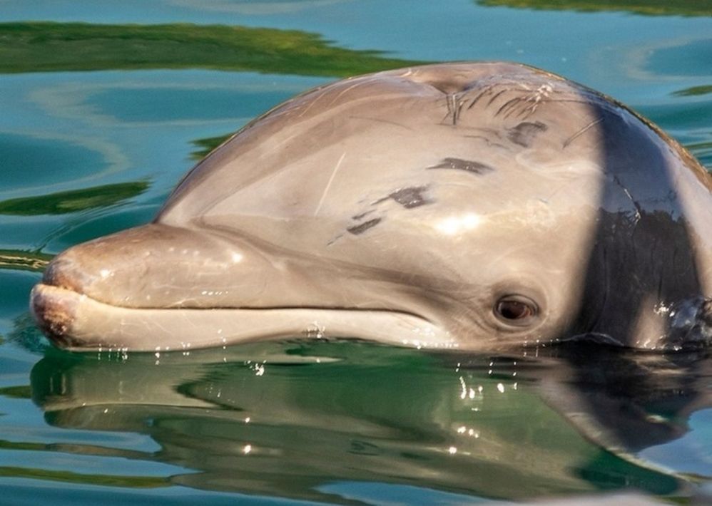 Screenshot_20220811_095633.jpg Screenshot_20220811_095633.jpg