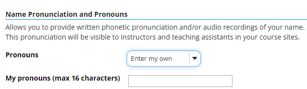 pronouns-enter-my-own.png
