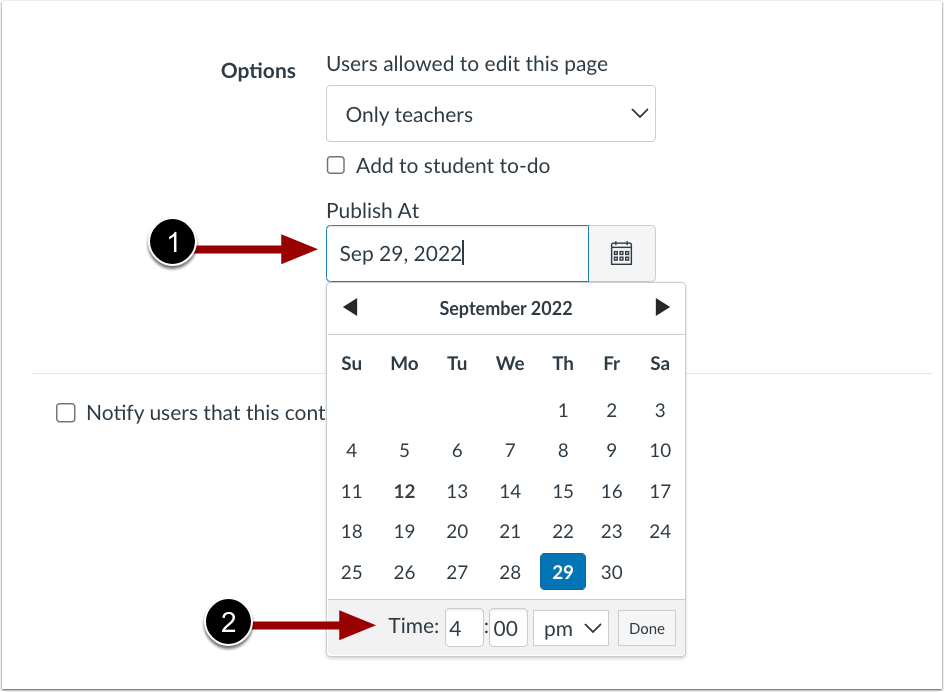 Edit Page Publish At Field