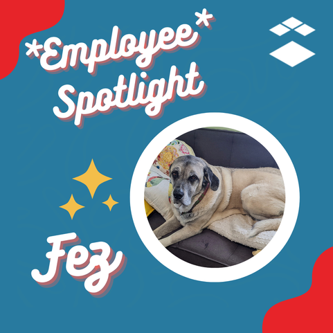 djackson_2-1682972966090.png djackson_2-1682972966090.png