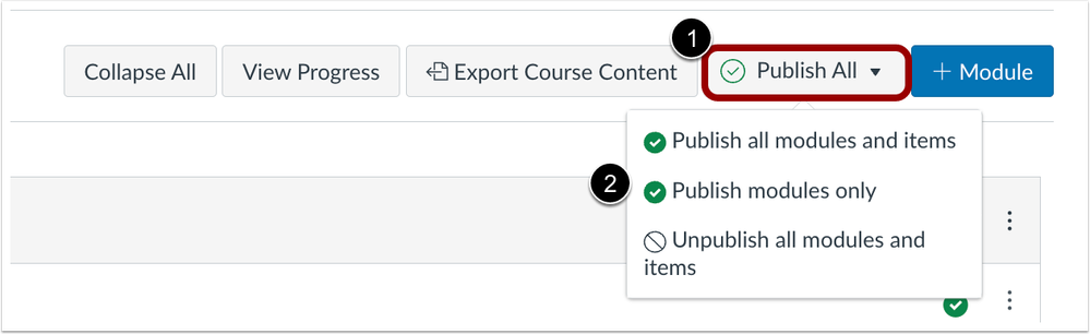 Canvas Release (2023-06-17): New Feature: Bulk Publish and Unpublish Module  Items – Teaching/Technology Innovation Center