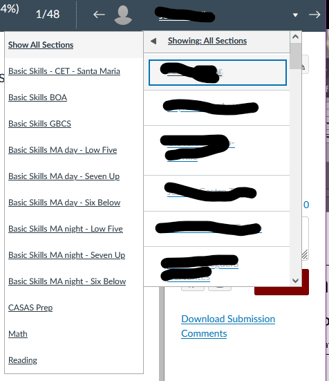 CANVAS SpeedGrader Section selection.png