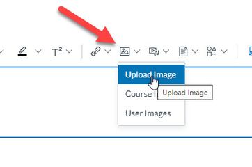 2023-09-21_11-31-54.jpg 2023-09-21_11-31-54.jpg