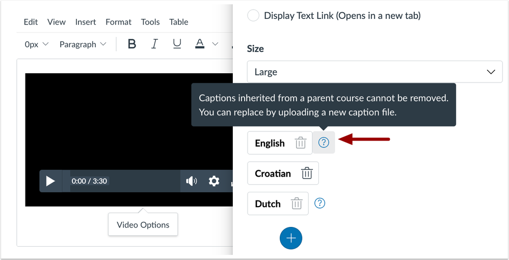 Rich Content Editor Video Options Caption ToolTip