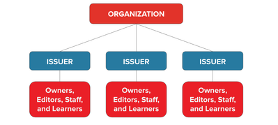 Organization Role Structure