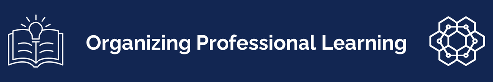 Professional Learning Organization.png