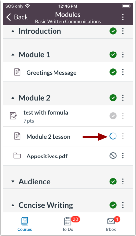 Module Item Progress Indicator