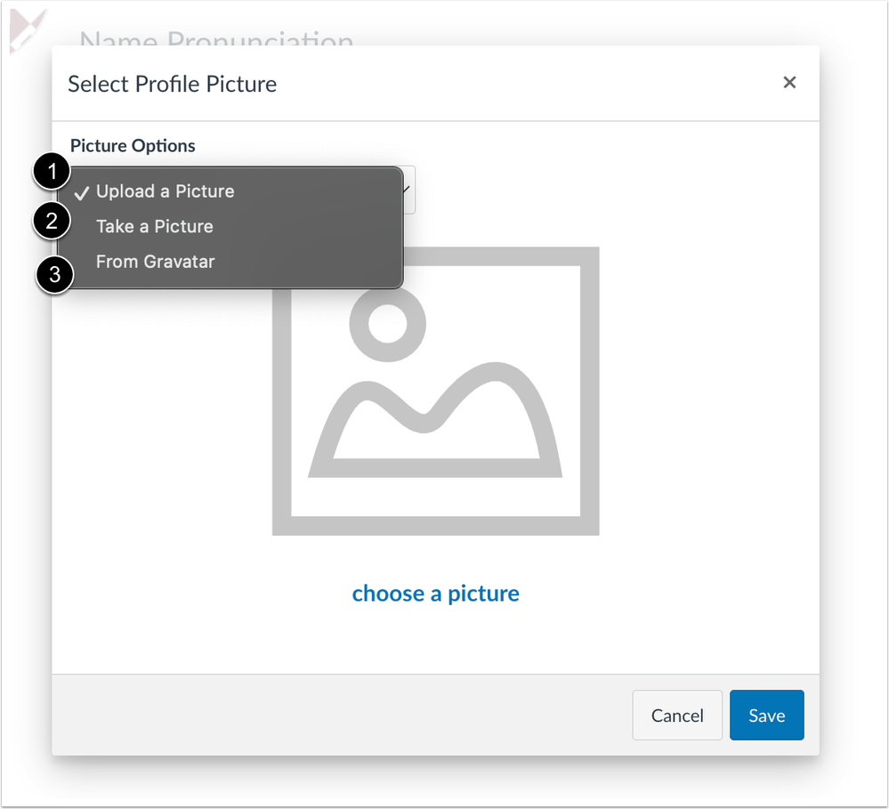 Select a Profile Picture Options