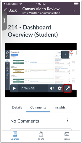 Video Full Screen Icon