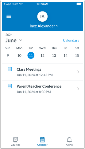 Calendar Interface