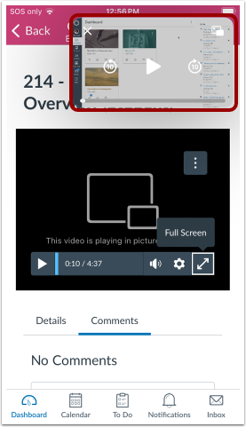 Video Full Screen Icon