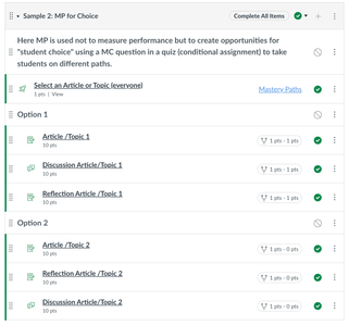 Example of student choice module structure.