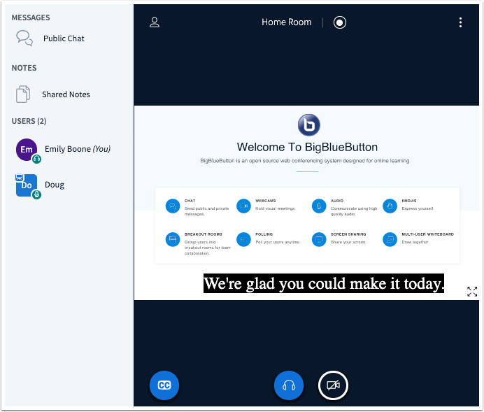 Captions display directly in the conferences interface Captions display directly in the conferences interface