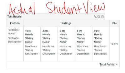 rubric_student view2.JPG