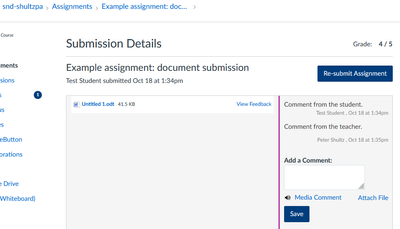 View of an Assignment submission, with instructor comments in right sidebar