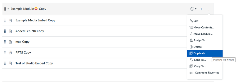 Duplicate Module