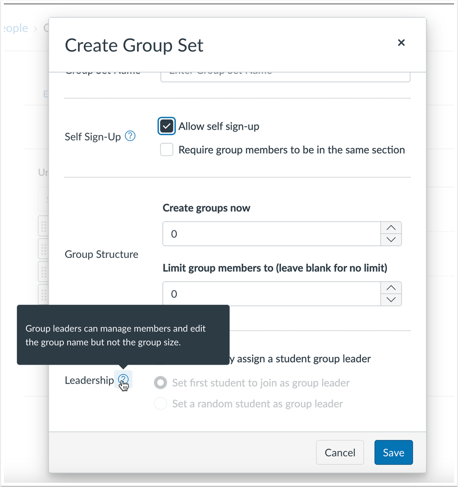 Create Group Set Leadership Tooltip