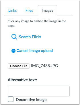 The Content Sidebar in the Rich Content Editor supports adding alternative text after selecting an image file for upload or marking the image as decorative The Content Sidebar in the Rich Content Editor supports adding alternative text after selecting an image file for upload or marking the image as decorative