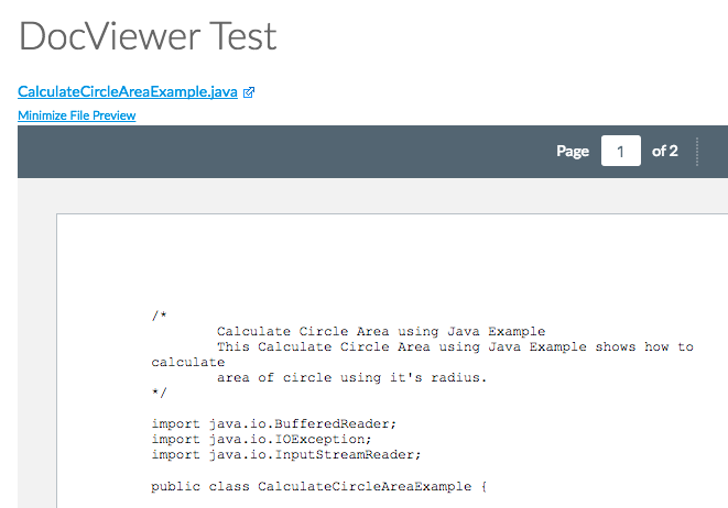 DocViewer Code Java Success