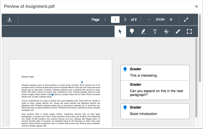 Anonymous grading example in DocViewer comments