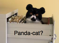 137217_pastedImage_9.png