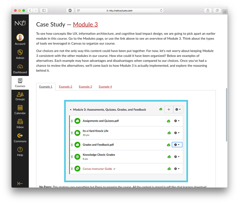 screenshot of content page in Canvas, showing several examples of how to organize a module