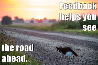 Cat walking down the road_ Feedback helps you see the road ahead. Cat walking down the road_ Feedback helps you see the road ahead.