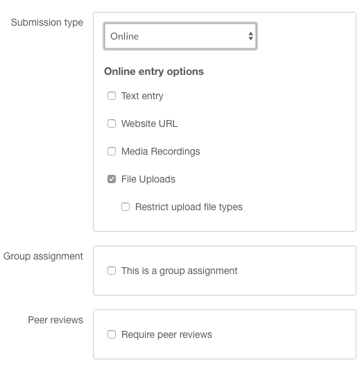 Screen Shot of online submission options within an assignment
