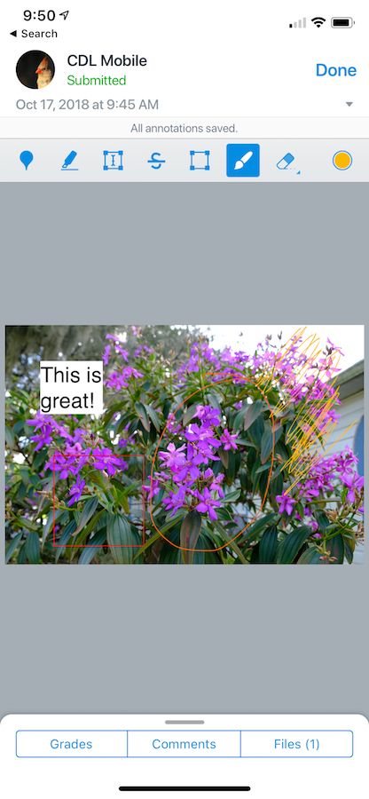 352204_IMG_31041933DA18-1.jpeg 352204_IMG_31041933DA18-1.jpeg